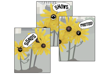 twovandalslawncare.com (angry sunflowers) screenshot